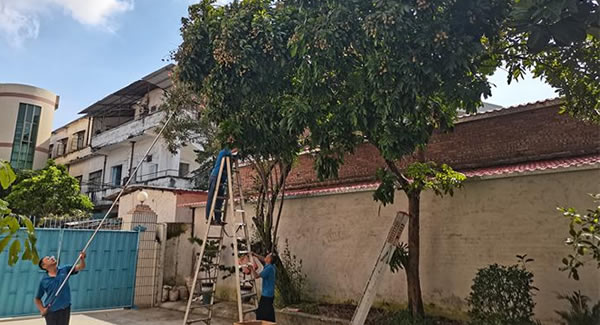 廣有儲良龍眼，詮釋濃情盛夏|廣有五金&東莞合頁