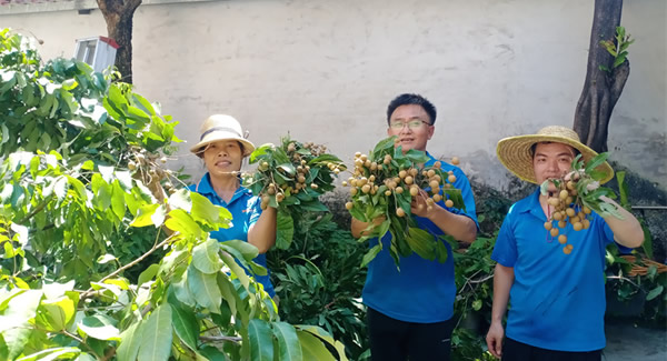 摘一顆龍眼，品一份團圓，謝一次饋贈 | 廣有五金&東莞合頁